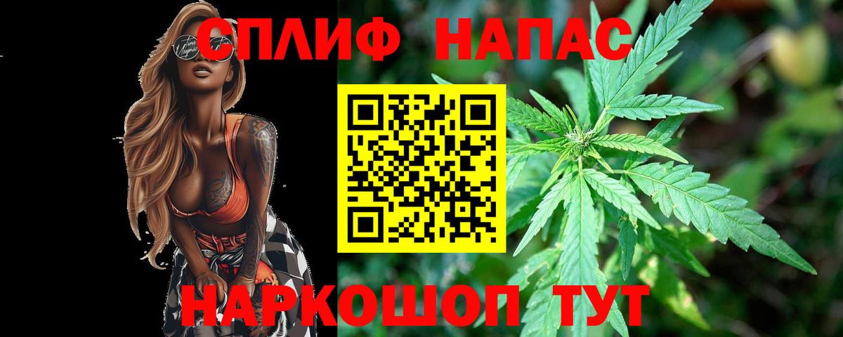 Конопля гибрид Гудермес